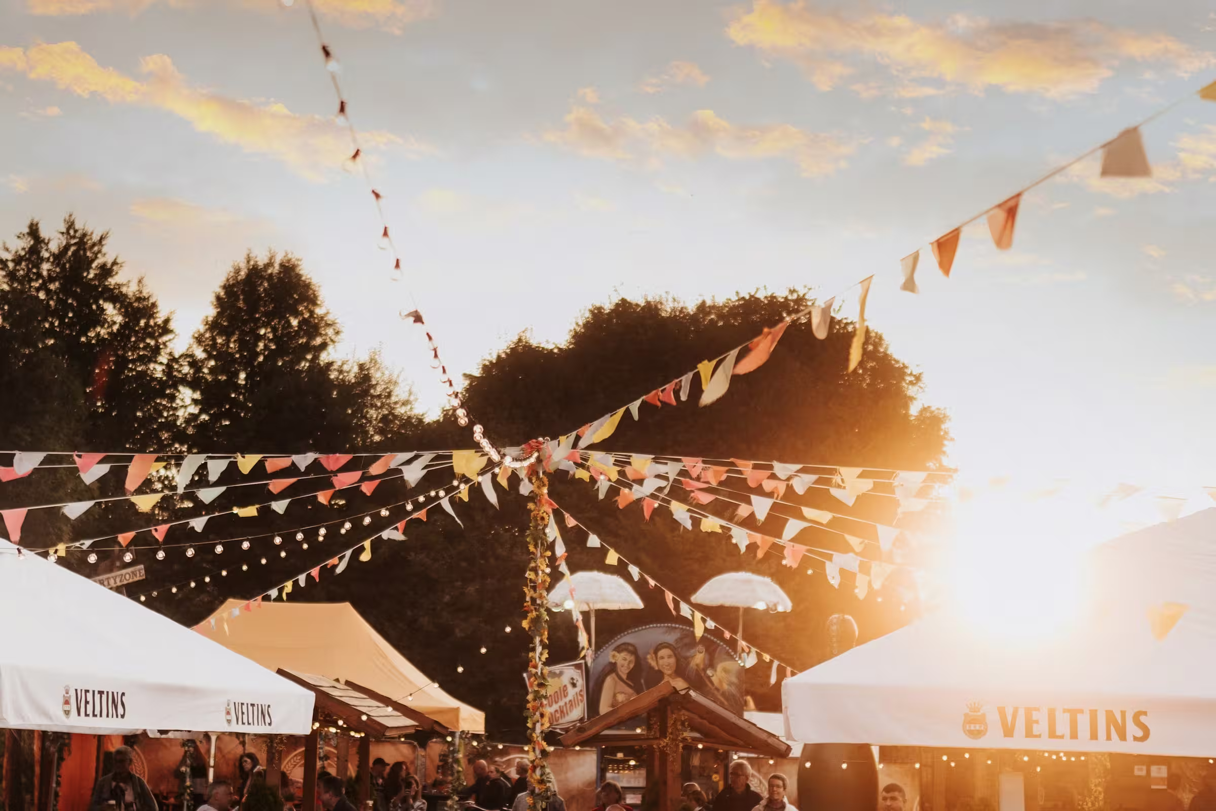 Festival crowd photo